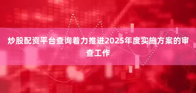 炒股配资平台查询着力推进2025年度实施方案的审查工作