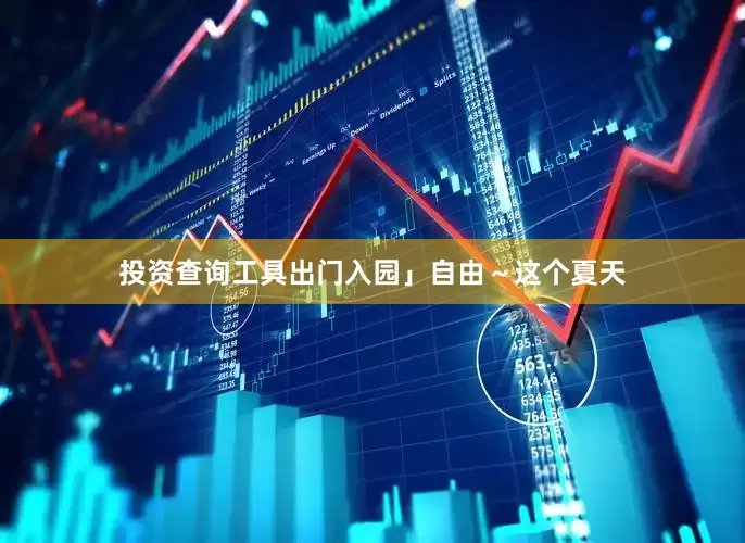 投资查询工具出门入园」自由～这个夏天