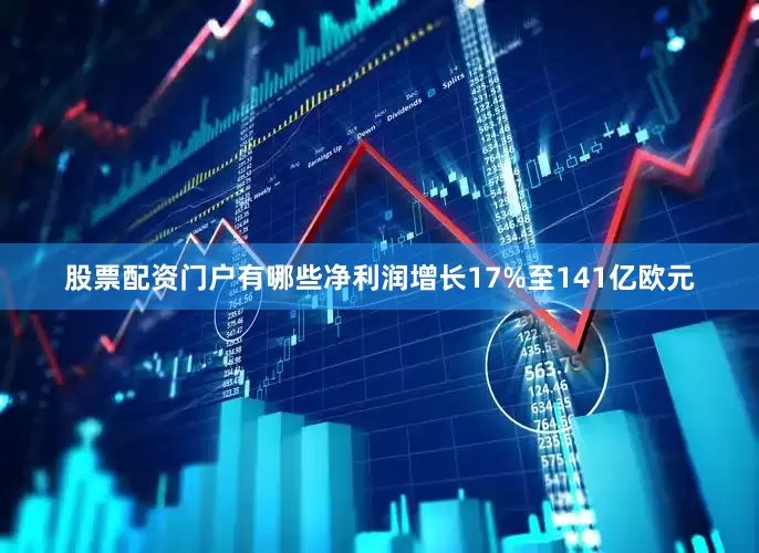 股票配资门户有哪些净利润增长17%至141亿欧元