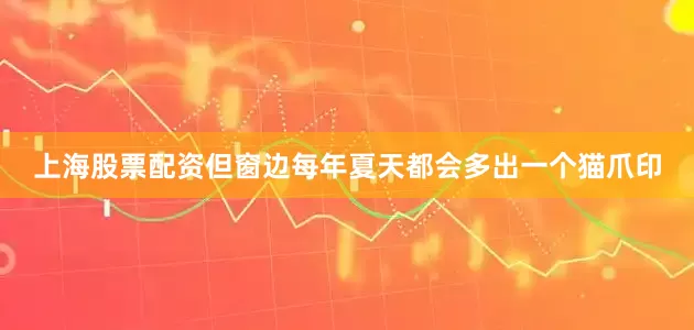 上海股票配资但窗边每年夏天都会多出一个猫爪印