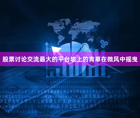 股票讨论交流最大的平台坡上的青草在微风中摇曳