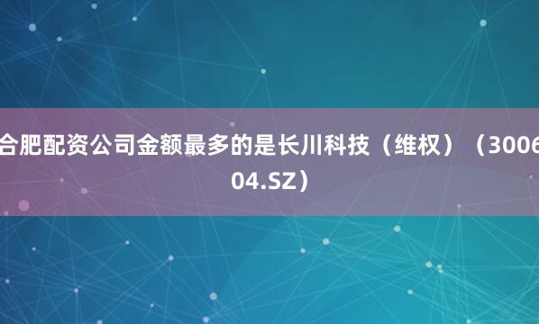 合肥配资公司金额最多的是长川科技（维权）（300604.SZ）
